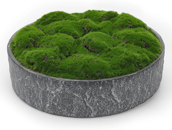 NAHARO New Moss Bowl, Living Room, or Coffee Table Display by NAHARO