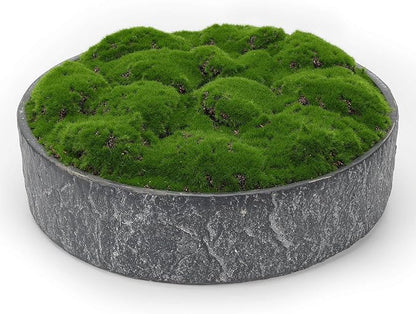 NAHARO New Moss Bowl, Living Room, or Coffee Table Display by NAHARO