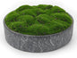 NAHARO New Moss Bowl, Living Room, or Coffee Table Display by NAHARO
