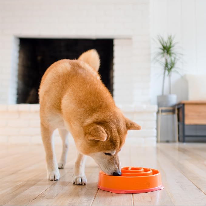 Outward Hound Fun Feeder Slo Bowl – Medium 2‑Cup Capacity, Slow Feeding - Image 6