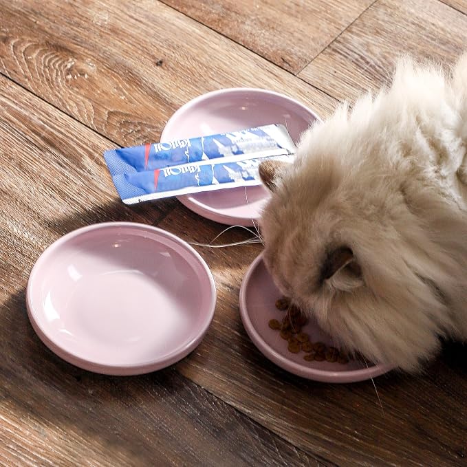 3 PCS Ceramic Cat Bowls, 5.5 in Pet Bowl Cat Dishes - Image 5