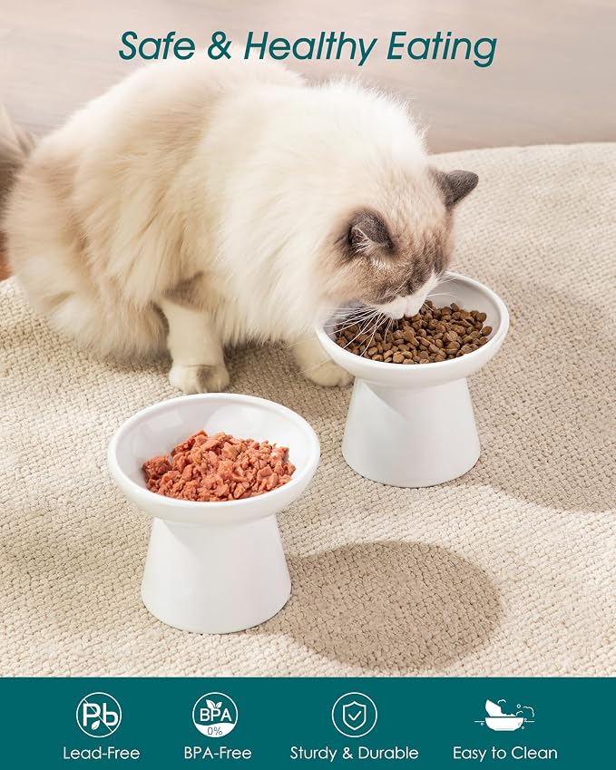 vancasso Elevated Cat Food Bowls 2-Pack, 6.2" Wide Shallow Cat Feeding Bowl - Image 3