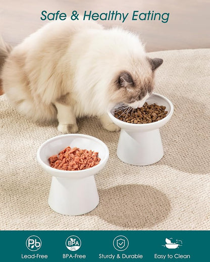vancasso Elevated Cat Food Bowls 2-Pack, 6.2" Wide Shallow Cat Feeding Bowl - Image 3
