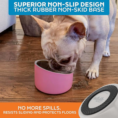 Master Pet Supply Stainless Steel Slanted Dog Cat Food Bowl - 8 oz Heavy Duty - Bone White, Double Wall Insulated, Non-Slip Elevated Bowl for French Bulldogs Pugs Cats, Anti Rust Dishwasher Safe