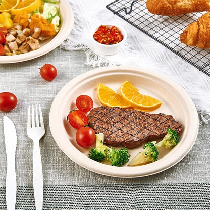Vplus 500 Pack Paper Plates 9 inch 100% Compostable, Heavy-Duty Disposable Paper Plates Bagasse Natural Biodegradable Eco-Friendly Sugarcane（Nature）