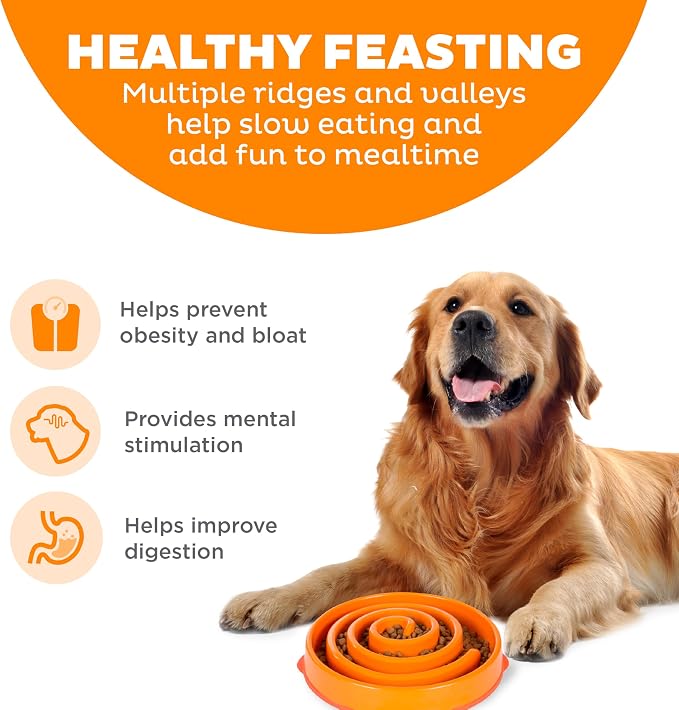Outward Hound Fun Feeder Slo Bowl – Large 4‑Cup Capacity, Slow Feeding - Image 2