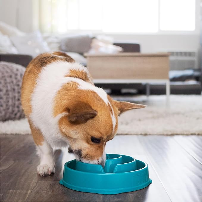 Outward Hound Fun Feeder Slo Bowl – Medium 2‑Cup Capacity, Slow Feeding - Image 6