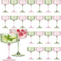 24PCS Plastic Martini Glasses, Unbreakable Reusable Champagne Coupe, Removable by Unknown
