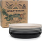 Grow Forward Premium Wheat Straw Plates by GrowForward