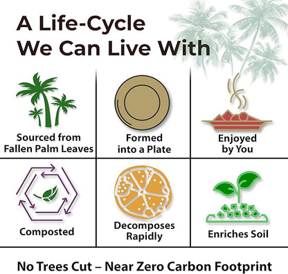 Indie Palm Disposable Palm Leaf Plates – 100 Pack 6 Inch Square – Heavy Duty, 100% Compostable & Biodegradable – Eco-Friendly Alternative to Plastic & Bamboo – Perfect for Parties & Events