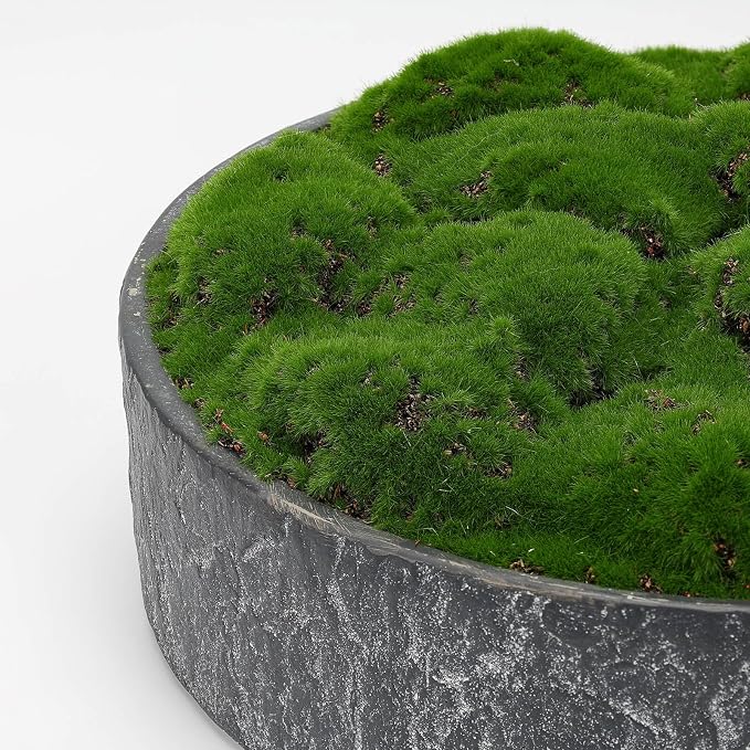 NAHARO New Moss Bowl, Living Room, or Coffee Table Display - Image 3