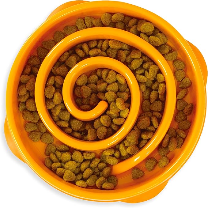 Outward Hound Fun Feeder Slo Bowl – Medium 2‑Cup Capacity, Slow Feeding by OutwardHound
