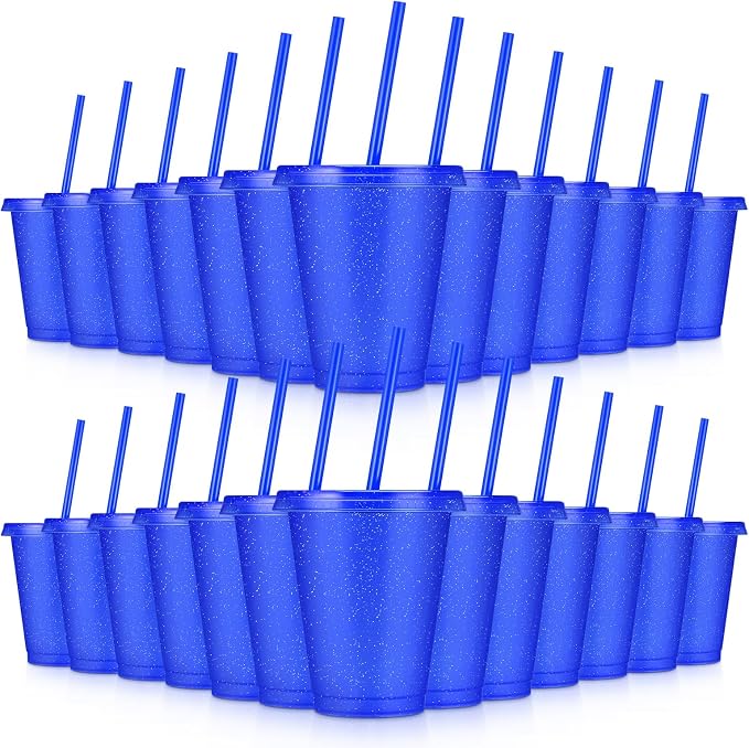 24 Pcs Plastic Tumblers with Lids and Straws, Reusable Cups with Lids Plastic by LEIFEOSH