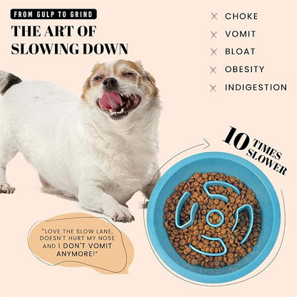 AVERYDAY Slow Feeder Dog Bowls for Medium Breeds Fits Raised Feeding Station - Image 2