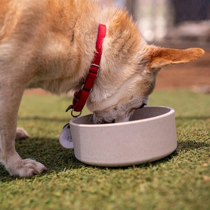 Loving Pets - Dolce Bamboo - Eco-Friendly Pet Bowls & Dishes - Image 6