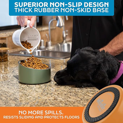 Master Pet Supply Stainless Steel Slanted Dog Cat Food Bowl - 24 oz Heavy Duty - Mango Tango, Double Wall Insulated, Non-Slip Elevated Bowl for French Bulldogs Pugs Cats, Anti Rust Dishwasher Safe