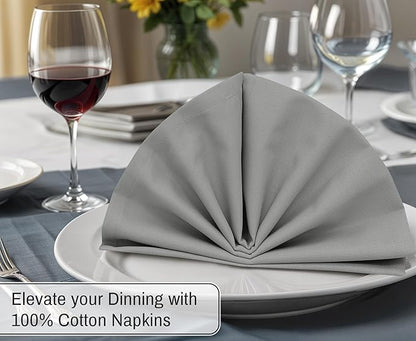 Ruvanti Cloth Napkins Set of 12, 18x18 Inches, 100% Cotton, Washable, Soft & Absorbent, Perfect for Wedding, Christmas, ‎Thanksgiving Dinners - Wild Dove