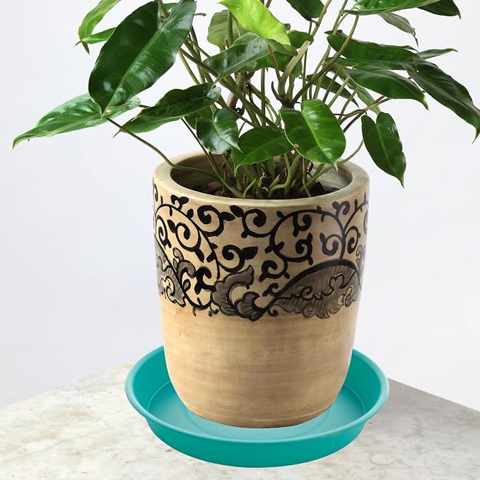 2 Pack of 20 21 inch Plant Saucer Round, Deep Plant Saucers - Image 5