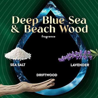 Air Wick Vibrant Plug In Scented Oil Refill, Infused with Essential Oils, Plug In Air Fresheners for Home, Deep Blue Sea & Beach Wood, 5 ct