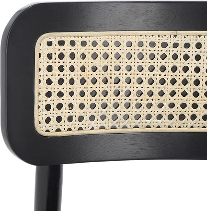 SAFAVIEH Home Collection Egon Coastal Black/Natural Dining Chair Set of 2