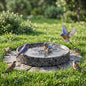 Stone Bird Bath, 10 Inch Heavy Bird Bath Bowl Only by Junkin