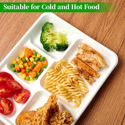 Compostable Disposable 5 Compartment Paper Plates, 10.25inch | 125 Pack - Image 5