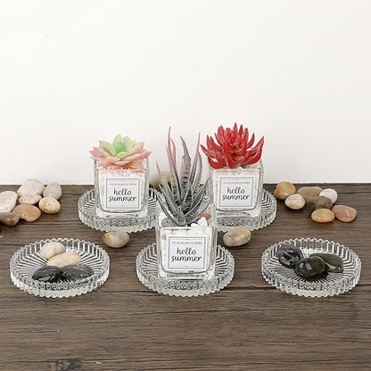JUXYES 5 Pack Glass Coasters Round Cup Mat, Clear Glass Coaster for Drinks Coffee Tea Wine, Decorative Wine Bottle Coasters, Crystal Drink Coasters for Restaurant bar Kitchen Dining Table