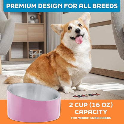 Master Pet Supply Stainless Steel Slanted Dog Cat Food Bowl - 16 oz Heavy Duty - Hyper Pink, Double Wall Insulated, Non-Slip Elevated Bowl for French Bulldogs Pugs Cats, Anti Rust Dishwasher Safe