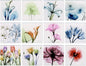 Empire Art Direct 12 PCS Coasters for Drinks, Cup Coaster for Tabletop Protection, Tea Set, Flower Coasters, Glass Floral Coaster Sets with Cork Bottom, Designed by Albert Koetsier, B2
