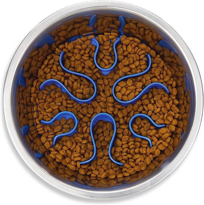 Outward Hound Fun Feeder Stainless-Steel Slo Bowl by OutwardHound