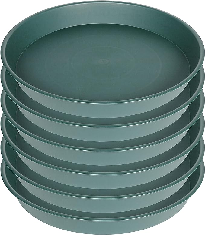 2 Pack of 8 inch Plant Saucer Clear, Heavy Duty Plastic Plant Water Tray 8 inch - Image 8