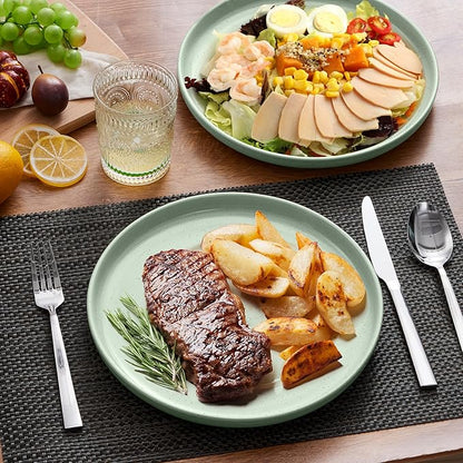 LIANYU Dinner Plates Set of 4, 10.5’’ Large and Round Stoneware Plates, Ceramic Dishes Set for Kitchen Serving Salad, Dessert, Steak, Oven, Microwave & Dishwasher Safe, Scratch Resistant, Fog Green