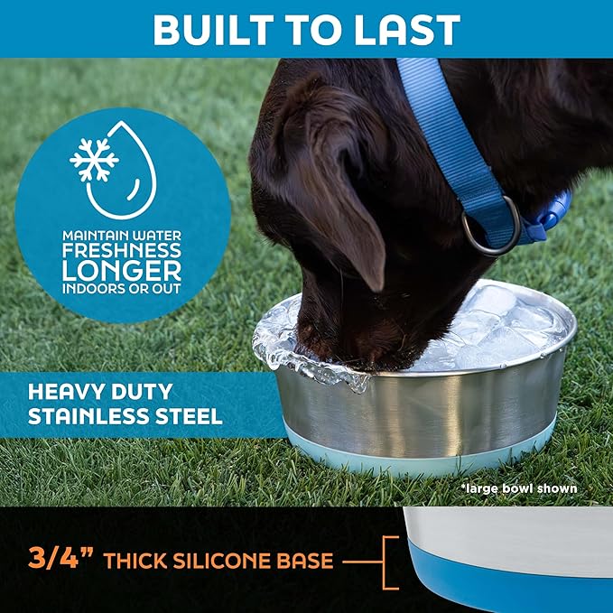 Master Pet Supply Stainless Steel Dog Bowls Set of 2 with Extra Thick Silicone Base - 16 Cup (128 oz) Hyper Pink, Non-Slip, Dishwasher Safe Metal Bowls, Pet Dog Food Bowl for Dogs, Cats, Anti Rust