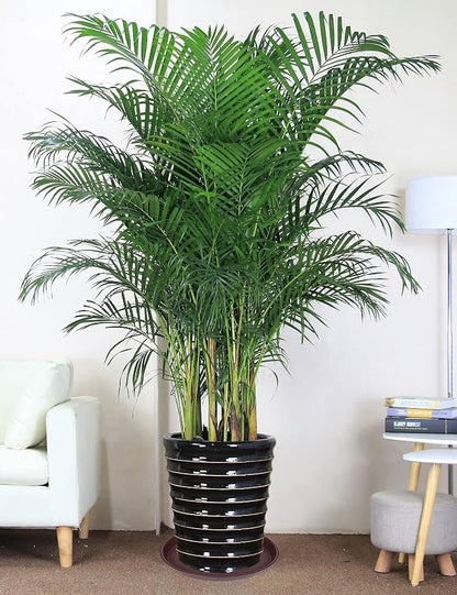 4 Pack of 16 inch Plant Saucer, Heavy Duty Round Plant Trays - Image 5