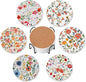 6 Pcs Drink Coasters with Holder,Abstract Flower Absorbent Round Ceramic Coaster for Tabletop Protection,for Coffee Cup Beverage Coasters Wine Beer Bar
