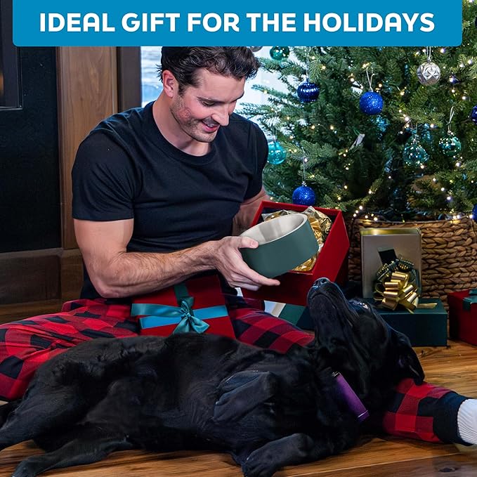 Master Pet Supply Stainless Steel Slanted Dog Cat Food Bowl - 8 oz Heavy Duty - Aqua Sky, Double Wall Insulated, Non-Slip Elevated Bowl for French Bulldogs Pugs Cats, Anti Rust Dishwasher Safe