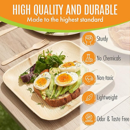 Raj Eco Compostable Palm Leaf Plates Like Bamboo Plates Disposable - 8 Inch Square 50 party plates, Natural wooden, Eco-Friendly, fancy Biodegradable & Disposable Dessert appetizer Plates