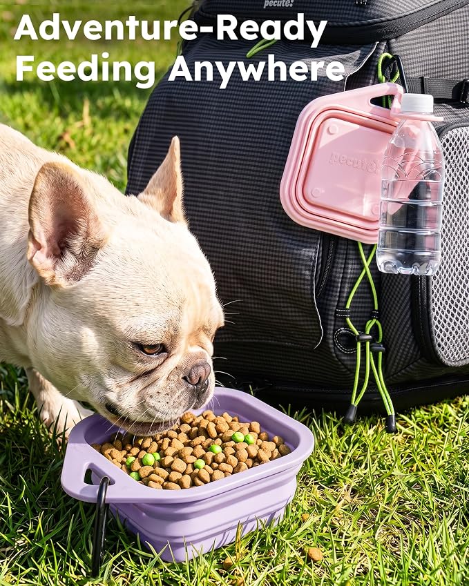 Pecute 2 Pack Foldable Dog Bowls - Image 2