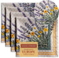 Maison d' Hermine Cloth Napkins Set of 4 100% Cotton Everyday Reusable Square Napkins Cloth Washable Dinner Party Wedding Restaurant Valentines Day Decorations Spring/Summer(Fanny Lavender, 20" x 20")