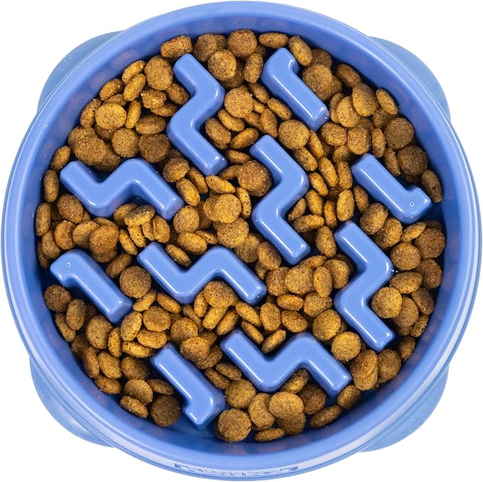Outward Hound Fun Feeder Slo Bowl – Medium 2‑Cup Capacity, Slow Feeding by OutwardHound