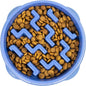 Outward Hound Fun Feeder Slo Bowl – Medium 2‑Cup Capacity, Slow Feeding by OutwardHound