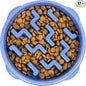 Outward Hound Fun Feeder Slo Bowl – 2‑Cup Capacity, Slow Feeding, Small to by OutwardHound