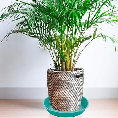 2 Pack of 8 inch Plant Saucer Clear, Heavy Duty Plastic Plant Water Tray 8 inch - Image 7