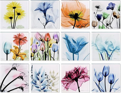 Empire Art Direct Flower Coasters for Drinks for Tabletop Protection Drink Coasters Set Glass Floral Sets of 12 with Cork Bottom by Albert Koetsier B1