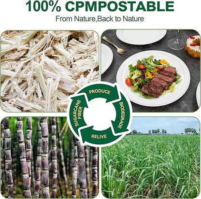 DaYammi 100% Compostable Paper Plates 9 Inch, 60-Pack Heavy Duty Paper Plates Bulk,Biodegradable Bagasse,Eco-Friendly Disposable Dinner Plate for BBQ,Picnic,Party (BPI Certified,Microwaveable)