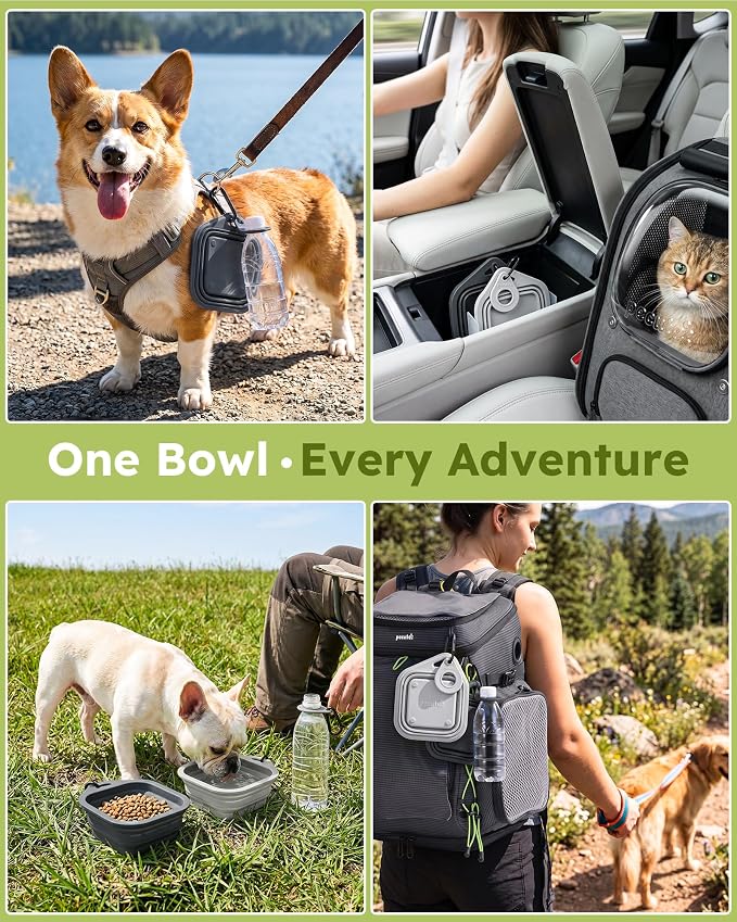 Pecute 2 Pack Foldable Travel Dog Bowls, Portable Silicone, BPA Free, - Image 7