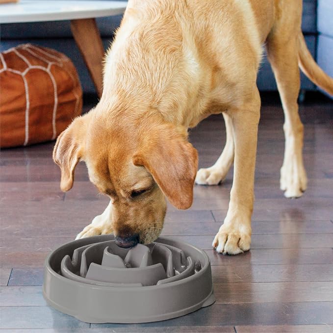 Outward Hound Fun Feeder Slo Bowl – Large 4‑Cup Capacity, Slow Feeding - Image 6