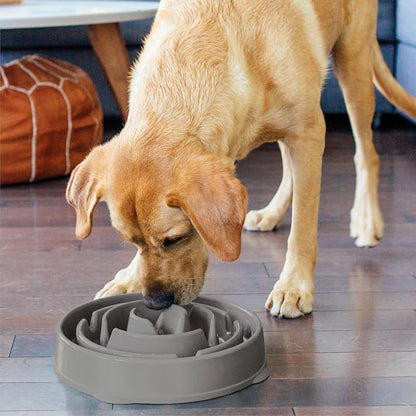 Outward Hound Fun Feeder Slo Bowl – Large 4‑Cup Capacity, Slow Feeding - Image 6