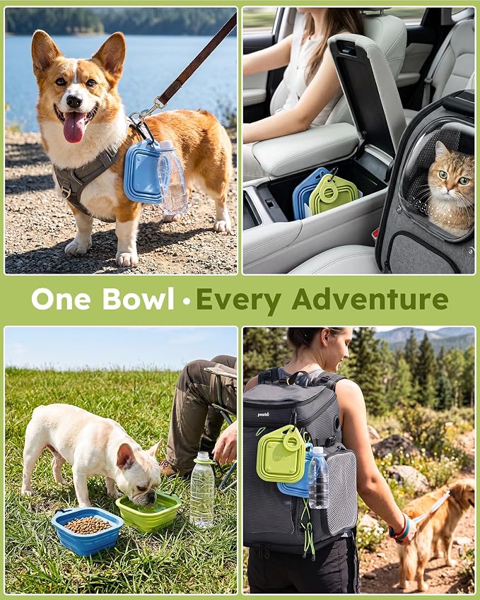 Pecute 2 Pack Foldable Dog Bowls - Image 7