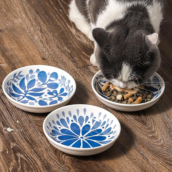 3 Ceramic Cat Bowls, 5.5 inch Wide Shallow Cat Food Bowl - Image 5